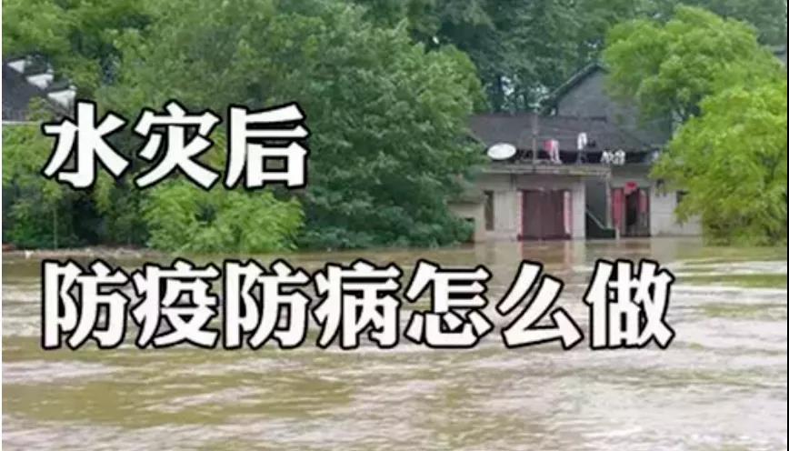 &#24320;&#20113;&#40;&#20013;&#22269;&#41;&#75;&#97;&#105;&#121;&#117;&#110;